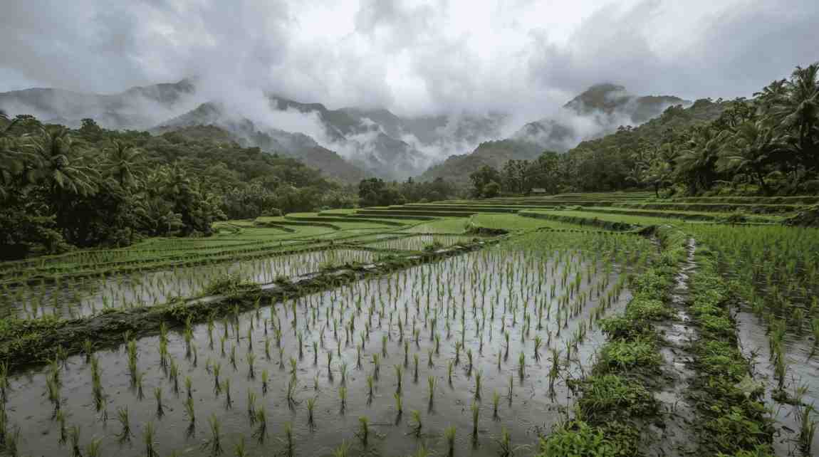 Farm / Agricultural Land
